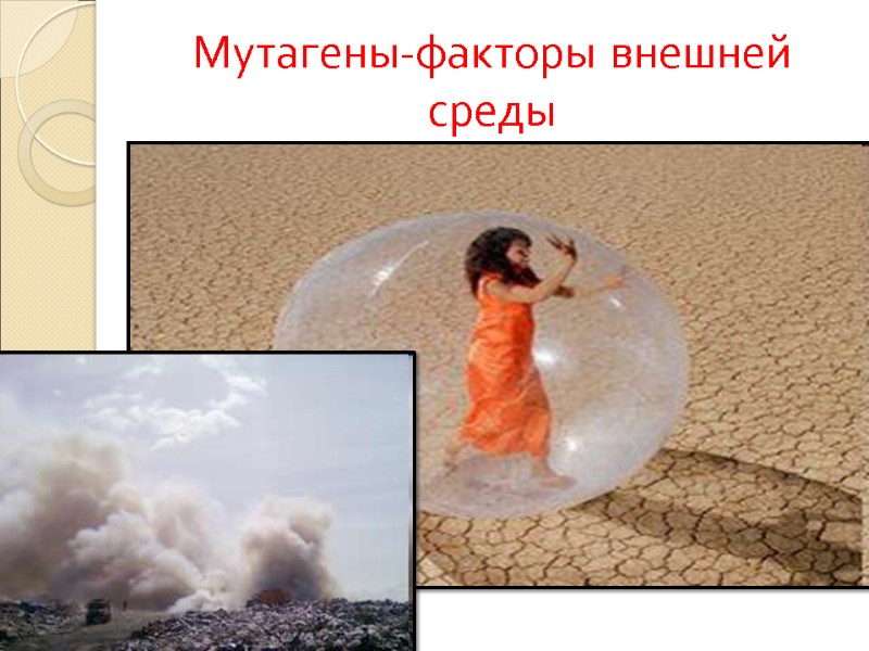 Мутагены-факторы внешней среды